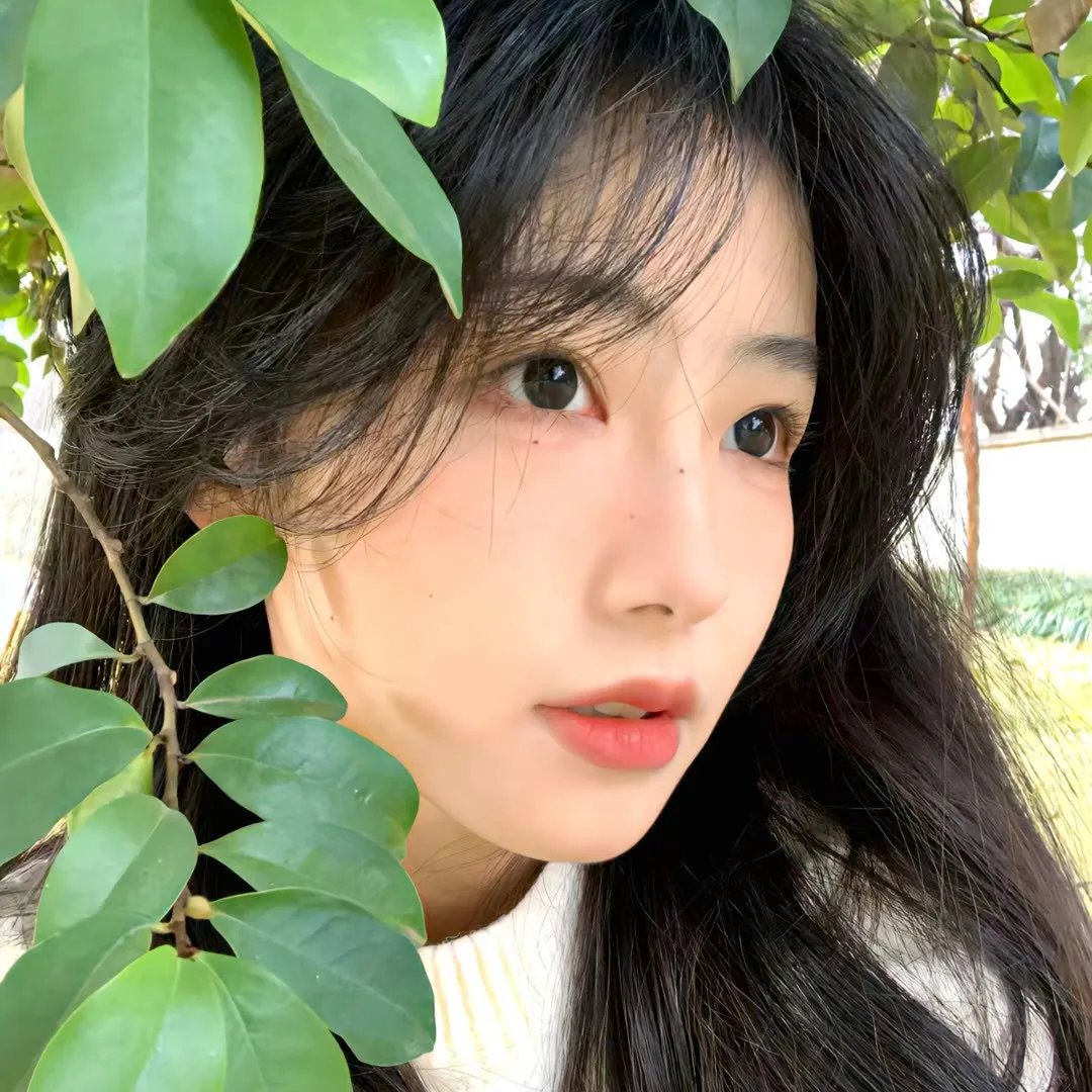 间谍兔洞第一季