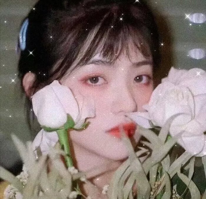哈比王传奇